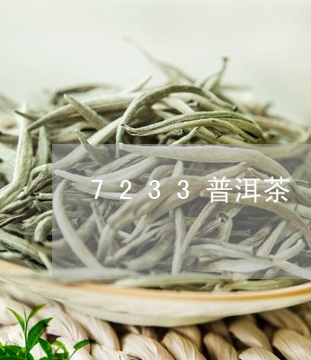 7233普洱茶/2023110990493