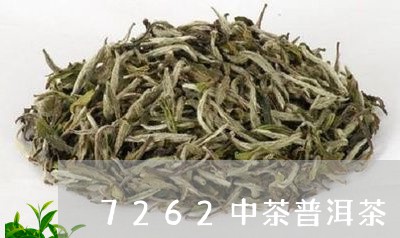 7262中茶普洱茶/2023110547282