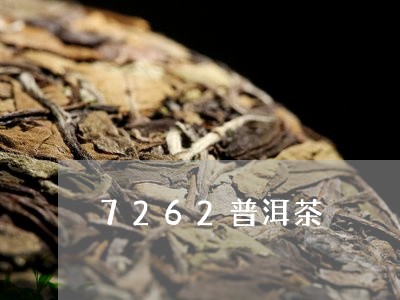 7262普洱茶/2023080161694