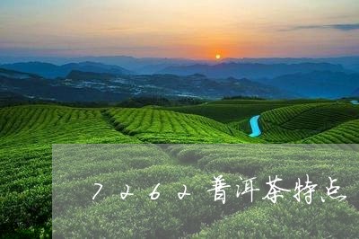 7262普洱茶特点/2023070957460