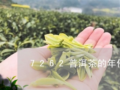 7262普洱茶的年份/2023062870726