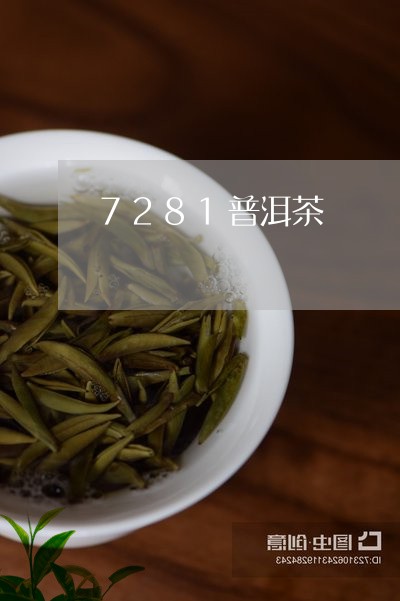 7281普洱茶/2023112505826