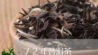 72年普洱茶/2023042702916