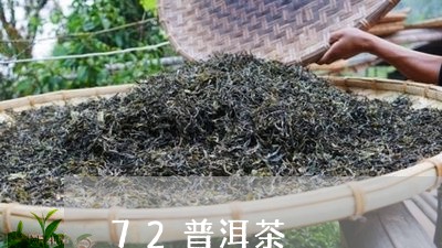 72普洱茶/2023090524935