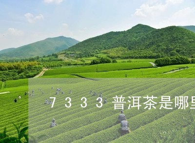 7333普洱茶是哪里产的/2023082585847