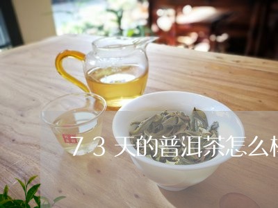 73天的普洱茶怎么样/2023062017264