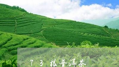 73根普洱茶/2023042968662