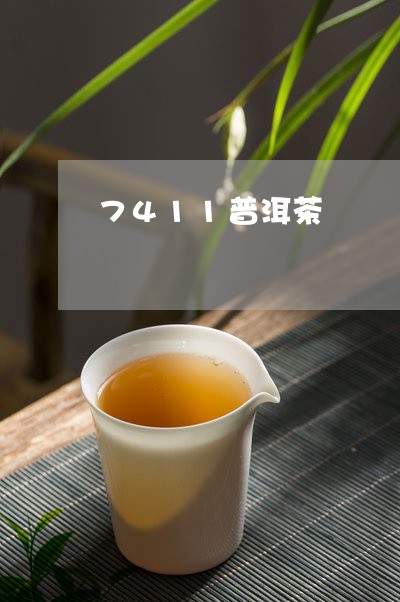 7411普洱茶/2023101651591