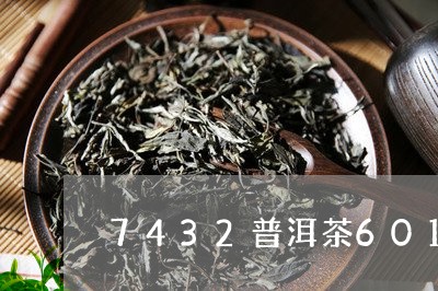 7432普洱茶601/2023062840707