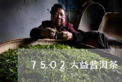 7502大益普洱茶/2023091327371