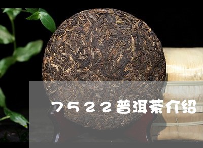 7522普洱茶介绍/2023070948358