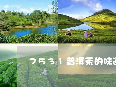 7531普洱茶的味道/2023062897048