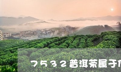 7532普洱茶属于什么档次/2023110586350