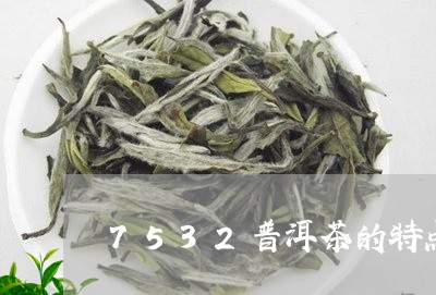 7532普洱茶的特点/2023062881582