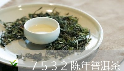 7532陈年普洱茶/2023091402937