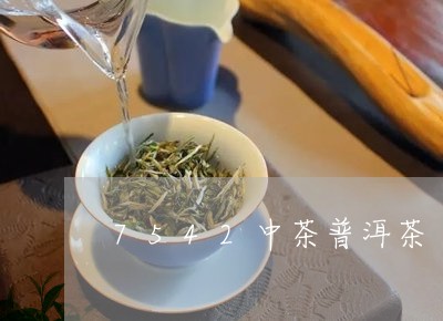 7542中茶普洱茶/2023091481303