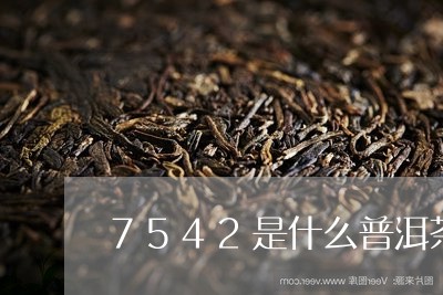 7542是什么普洱茶/2023062894939