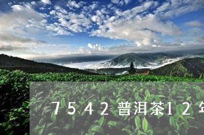 7542普洱茶12年/2023062883815