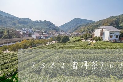 7542普洱茶901鉴别/2023101088372