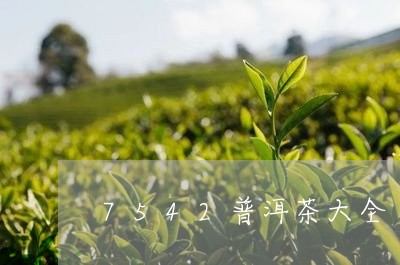 7542普洱茶大全/2023091439374