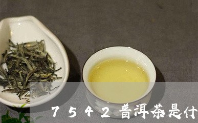 7542普洱茶是什么价格/2023110279696