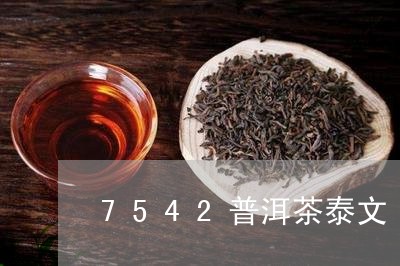 7542普洱茶泰文/2023091435260