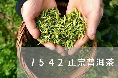 7542正宗普洱茶/2023070968503