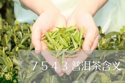 7543普洱茶含义/2023070912705