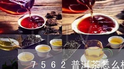 7562普洱茶怎么样/2023100602704