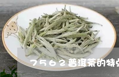 7562普洱茶的特点/2023100729382