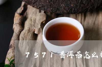 7571普洱茶怎么样/2023080295746