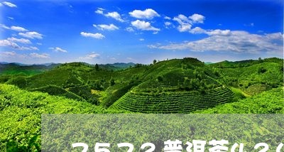 7572普洱茶424/2023062814904