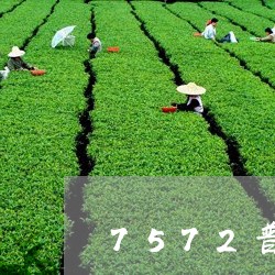 7572普洱茶批次/2023070987613