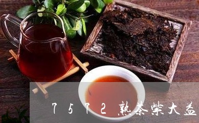 7572熟茶紫大益03年哪个好喝/2023060479573