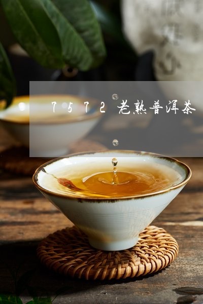 7572老熟普洱茶/2023120534946