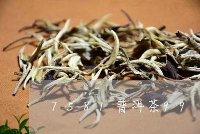 7581普洱茶99/2023091465737