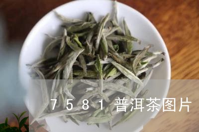 7581普洱茶图片/2023070995048