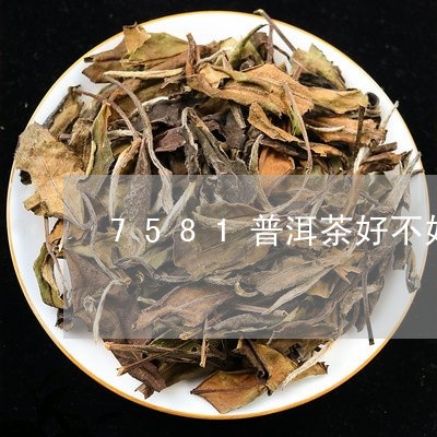 7581普洱茶好不好/2023080145038