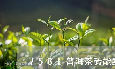 7581普洱茶砖能卖多少钱/2023052929491