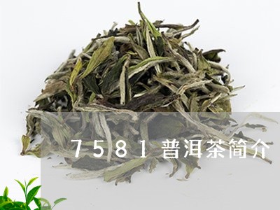 7581普洱茶简介/2023070977360