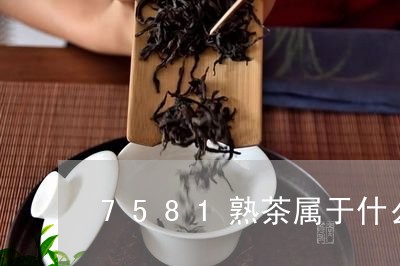 7581熟茶属于什么档次的茶/2023052950726