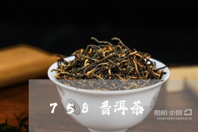 758普洱茶/2023042818917