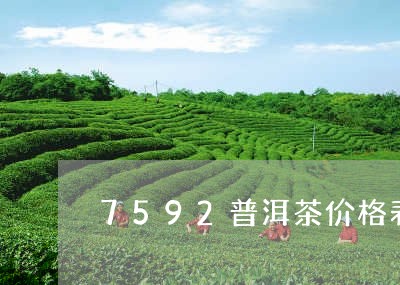 7592普洱茶价格表/2023080226168