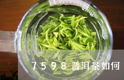 7598普洱茶如何/2023070969492