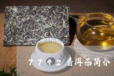 7742普洱茶简介/2023091431825