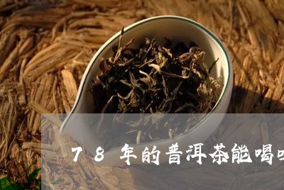 78年的普洱茶能喝吗/2023092846281