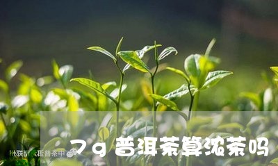 7g普洱茶算浓茶吗/2023091524239