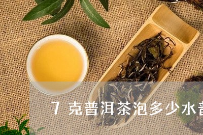 7克普洱茶泡多少水普洱茶标准克数/2023060363958