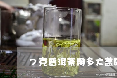 7克普洱茶用多大盖碗/2023092800702