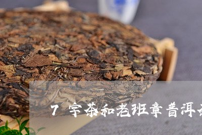 7字茶和老班章普洱茶/2023080752934